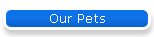 Our Pets